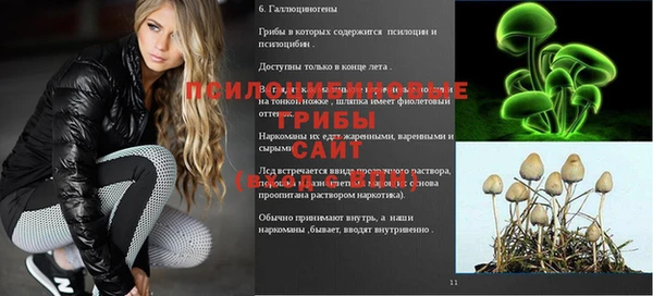 2c-b Иннополис